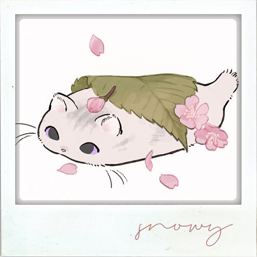 Snowy - adopted by Xynne