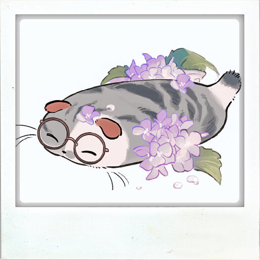 Cat 9 - Available