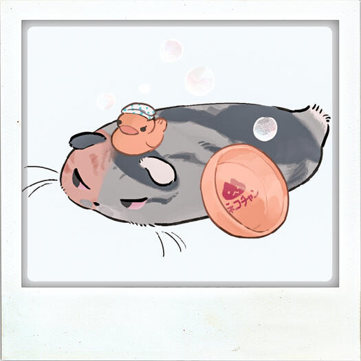 Cat 1 - Available
