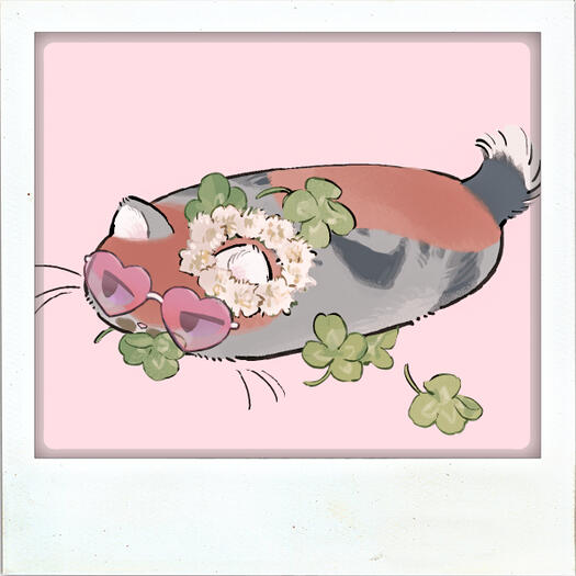 Cat 8 - Available Cat 8 - Available